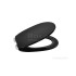 Крышка для чаши Roca Carmen Soft Close dark grey 801B5256B supralit
